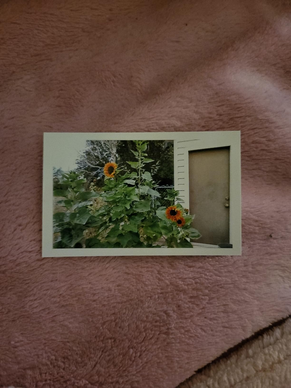 KODAK Mini Shot 2 Retro 2x3 Instant Camera, Photo Printer, 38 Sheet, White customer photo 2