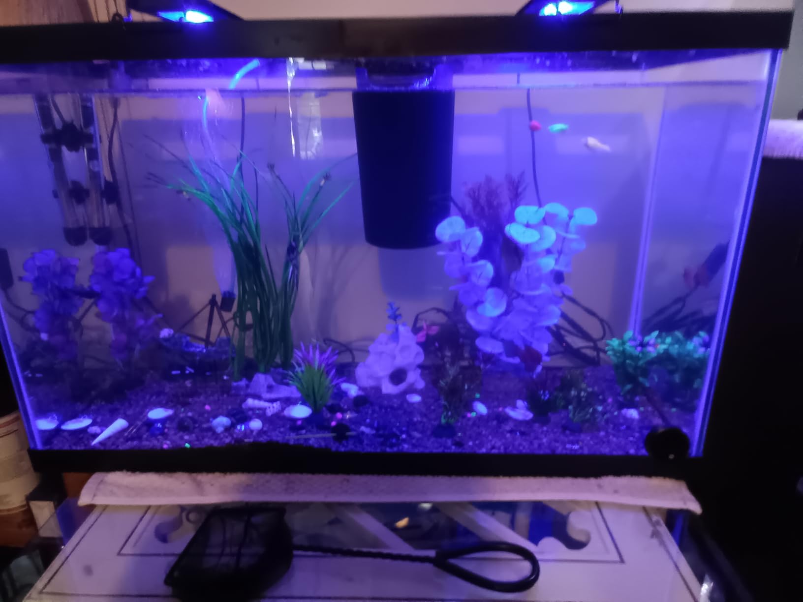Tetra 29 Gallon Glass Aquarium, Rectangular Fish Tank customer photo 2