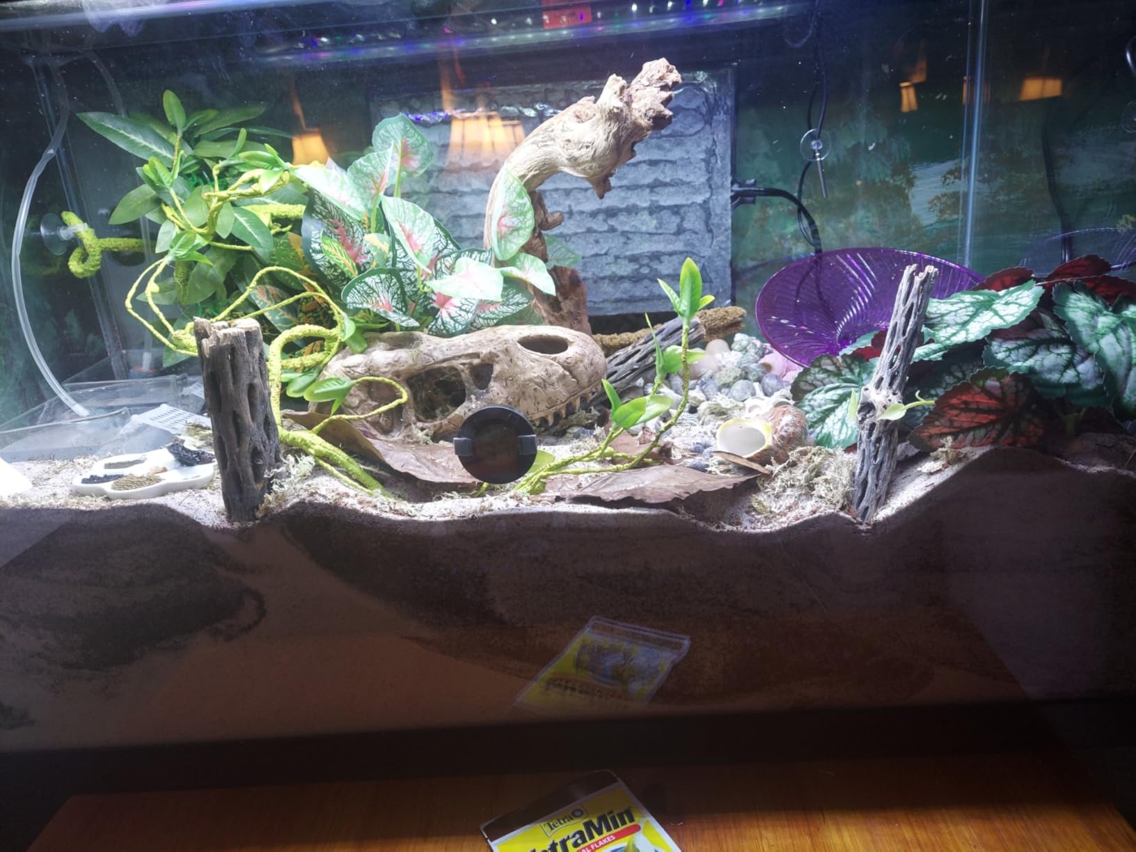 Tetra 5.5 Gallon Glass Aquarium, Rectangular Fish Tank customer photo 2