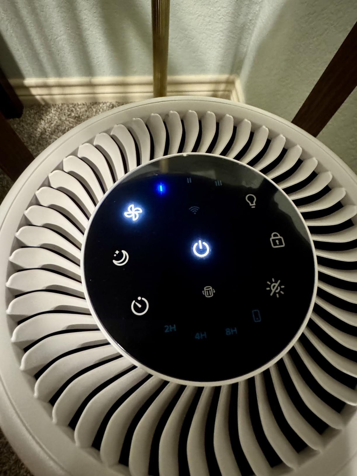 Levoit Air Purifier for Home Pets Bedroom Dorm Room, Smart & Voice Control customer photo 1