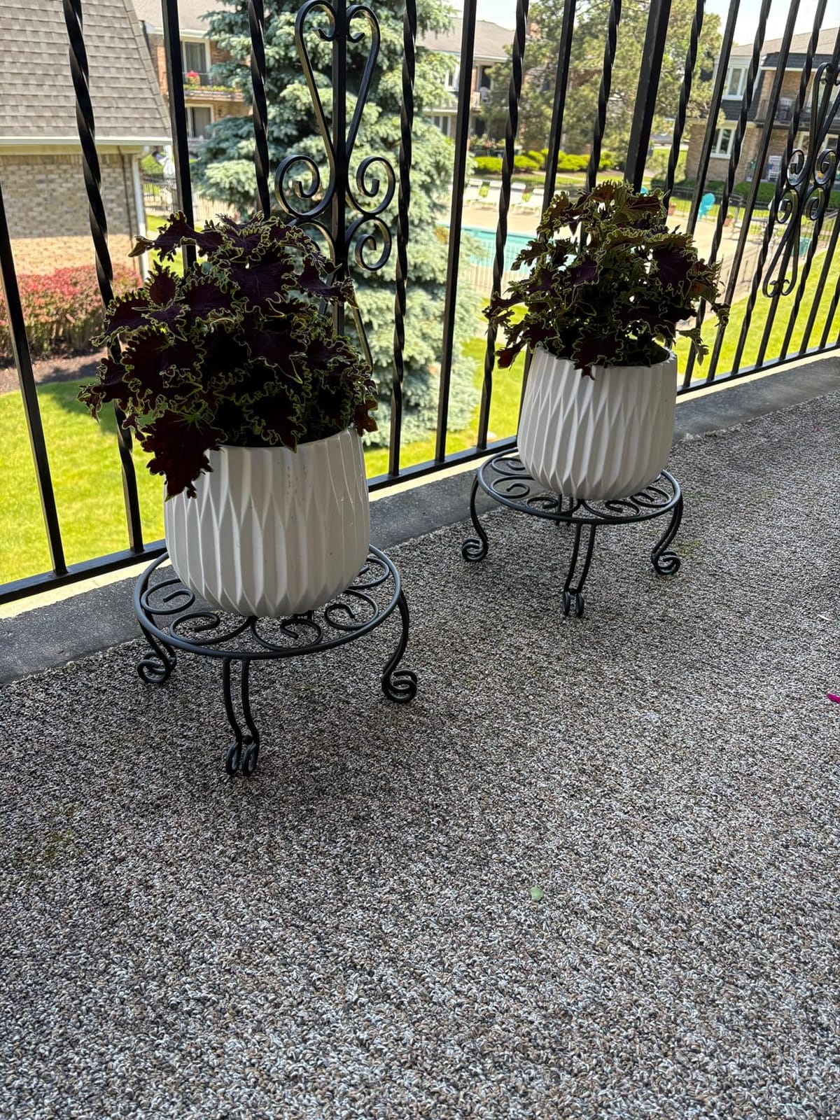 TREEZITEK 2 Pack Heavy Duty Iron Plant Stand, 11.8'' Diameter, 6'' Tall, Black, Powder Coated, Round, Sturdy & Stable, Indoor/Outdoor, No Assembly Required customer photo 1