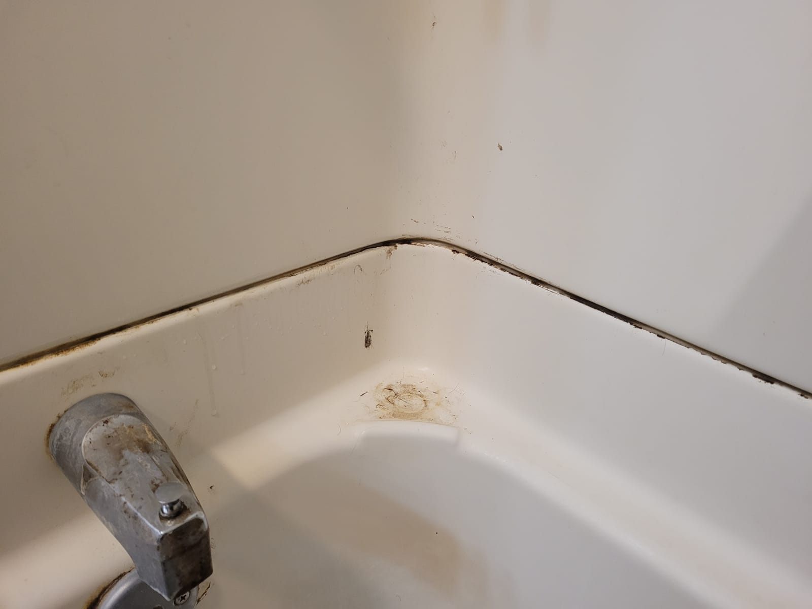 Hoover Steam Complete Pet Steam Mop, Hard Floor Cleaner Machine customer photo 1