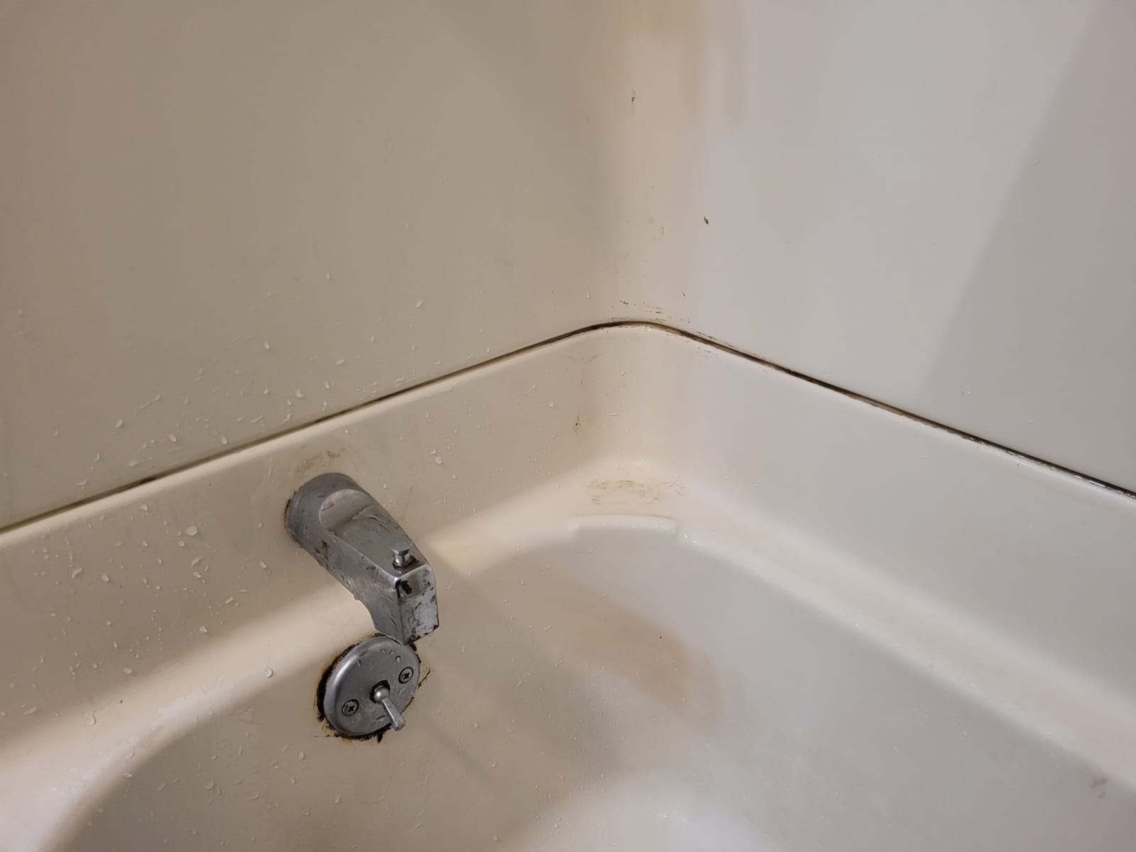 Hoover Steam Complete Pet Steam Mop, Hard Floor Cleaner Machine customer photo 2