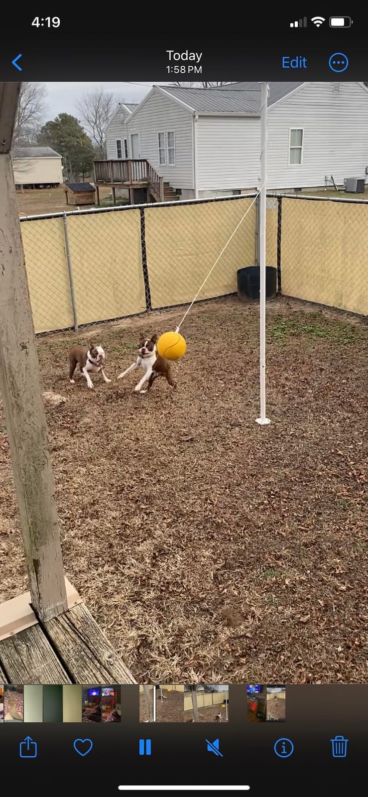 GoSports Backyard Tetherball Game - Full Size Outdoor Tetherball customer photo 2