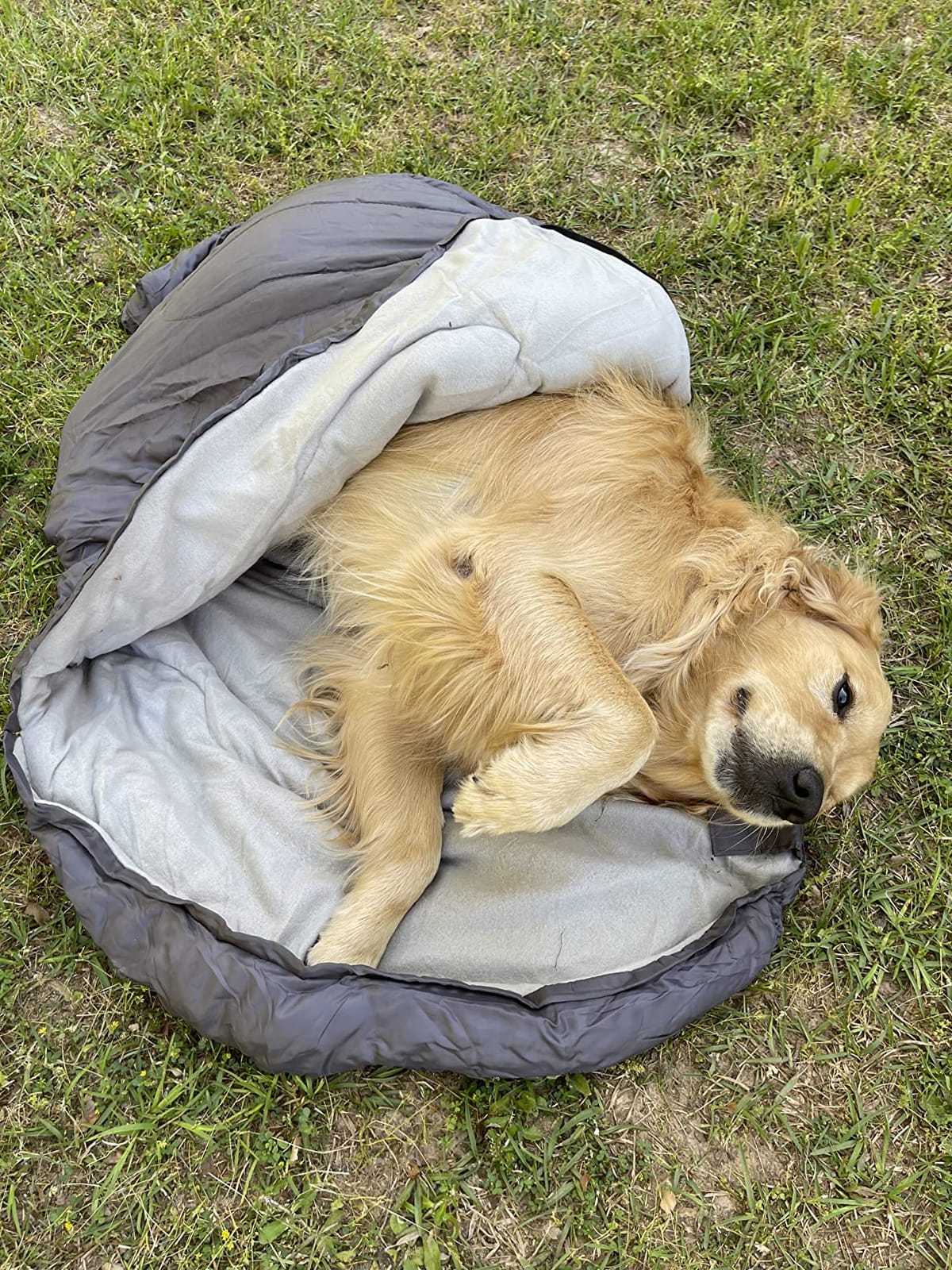 Sparkfire Dog Sleeping Bag, Waterproof Travel Large Portable Dog Bed with Storage Bag for Indoor Outdoor Warm Camping Hiking Backpacking customer photo 1