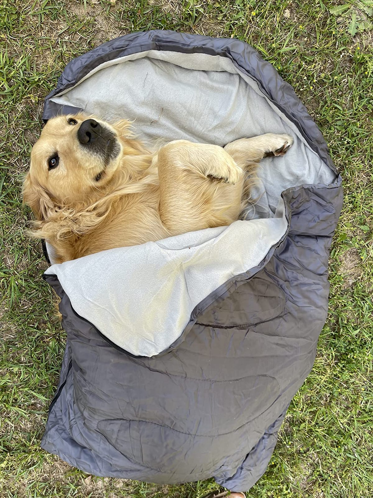 Sparkfire Dog Sleeping Bag, Waterproof Travel Large Portable Dog Bed with Storage Bag for Indoor Outdoor Warm Camping Hiking Backpacking customer photo 2