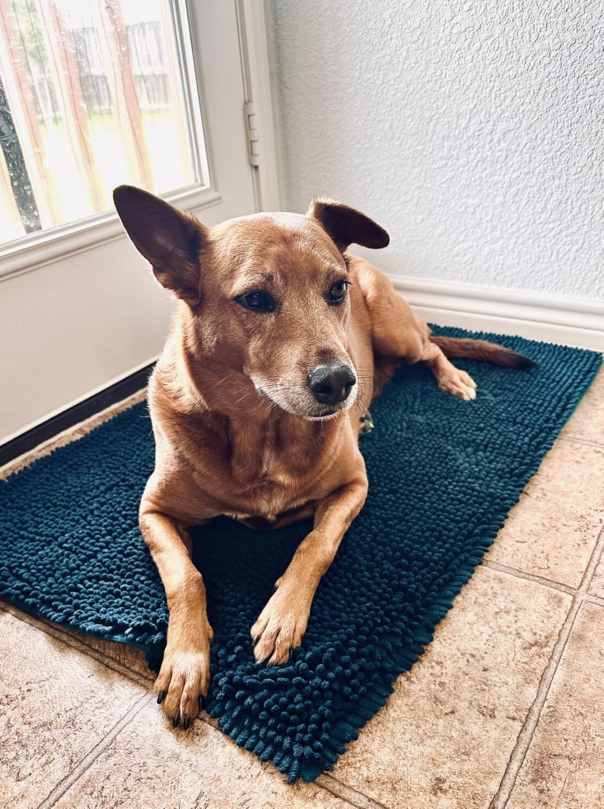 Muddy Mat® | Super Water Absorbent Door Mat Indoor, Microfiber Quick Dry Chenille Entryway Rug, Slip Resistant Front Door Mat, Indoor Mats for Entryway, Machine Washable Pet Rug, Grey 30