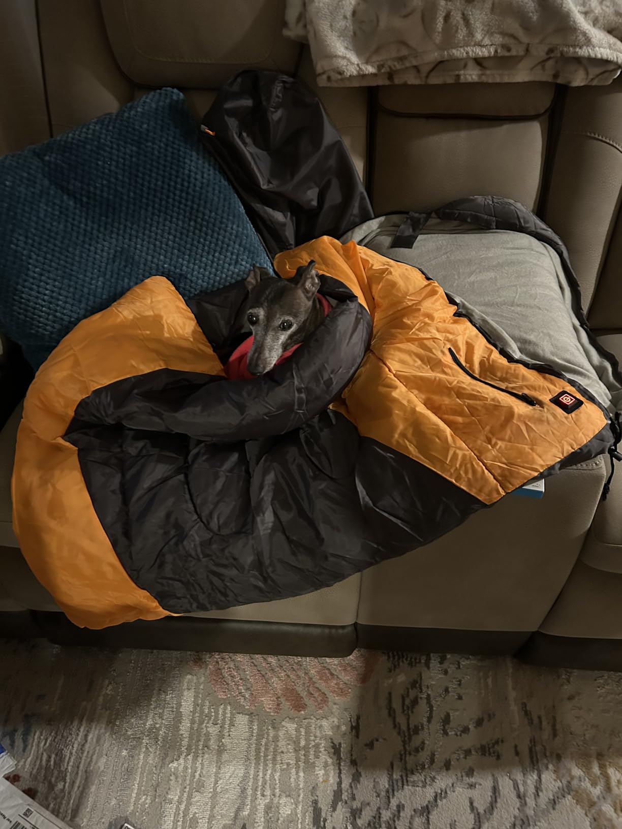 Waterproof Dog Sleeping Bag, Warm Insulated Packable Pet Bed Mat with Anti-Slip Bottom & Storage Bag, Tear-Resistant Portable Dog Bed for Indoor Car Travel Camping Hiking Backpacking (Bone,L) customer photo 1