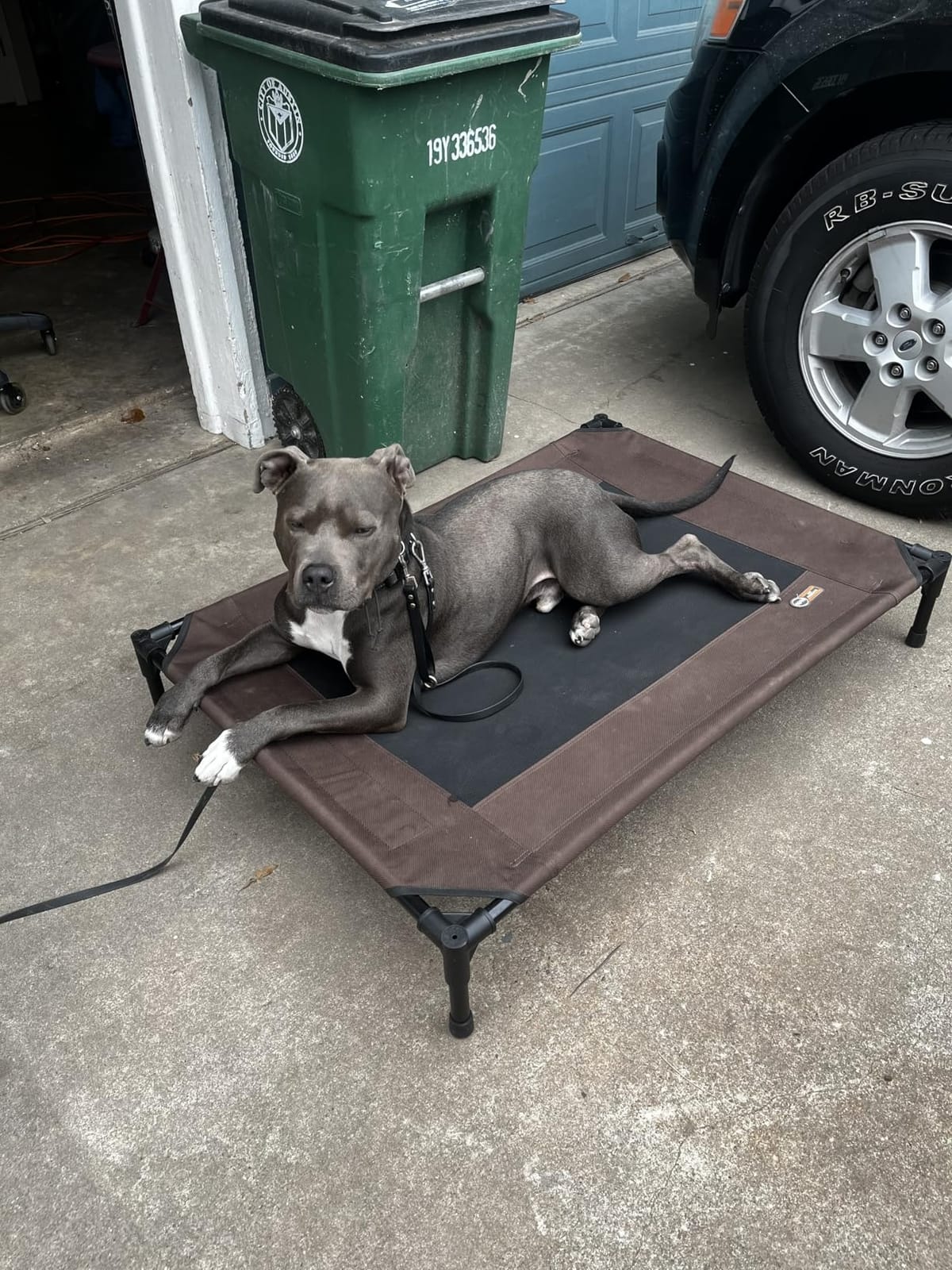 K&H Outdoor Elevated Dog Bed, Cooling Raised Dog Bed, Large 42x30in, Tan customer photo 2