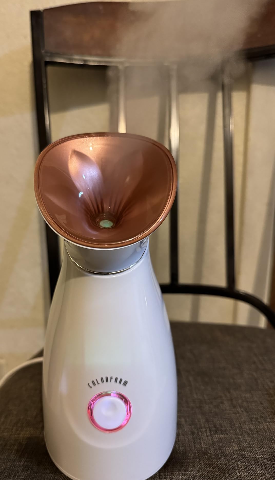 Colorfarm Facial Steamer with Nano Ionic Steam for Deep Cleaning Home Spa customer photo 1