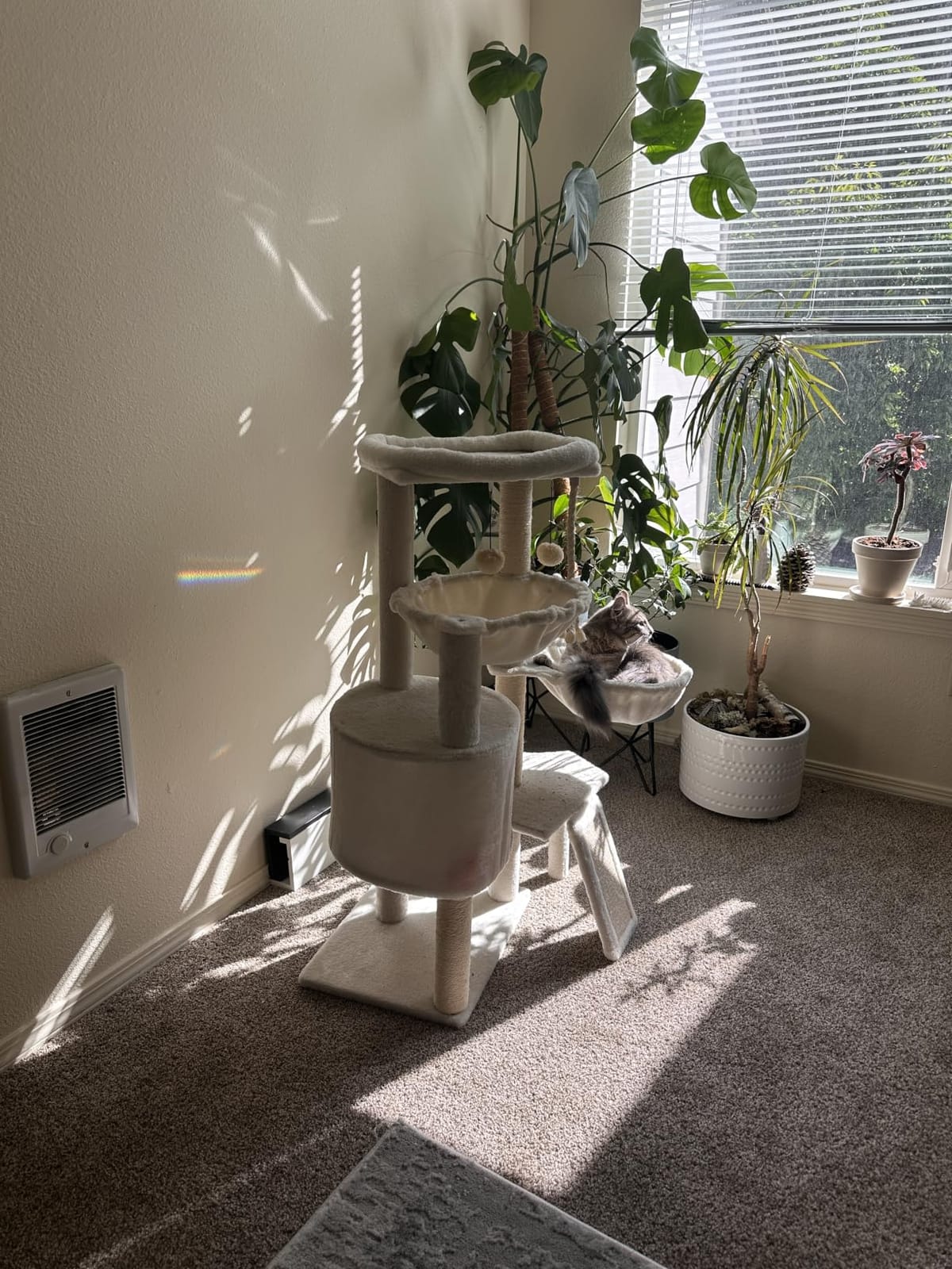Three Layer Cat Tree with Cat Condo and Two Hammocks,Grey customer photo 1