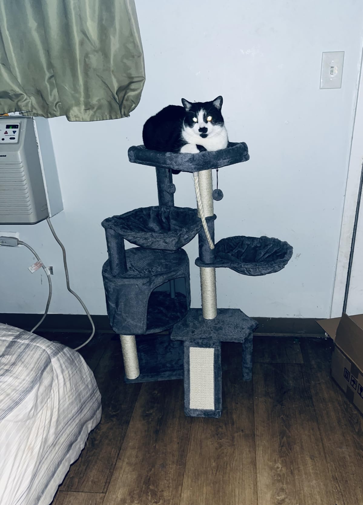Three Layer Cat Tree with Cat Condo and Two Hammocks,Grey customer photo 2