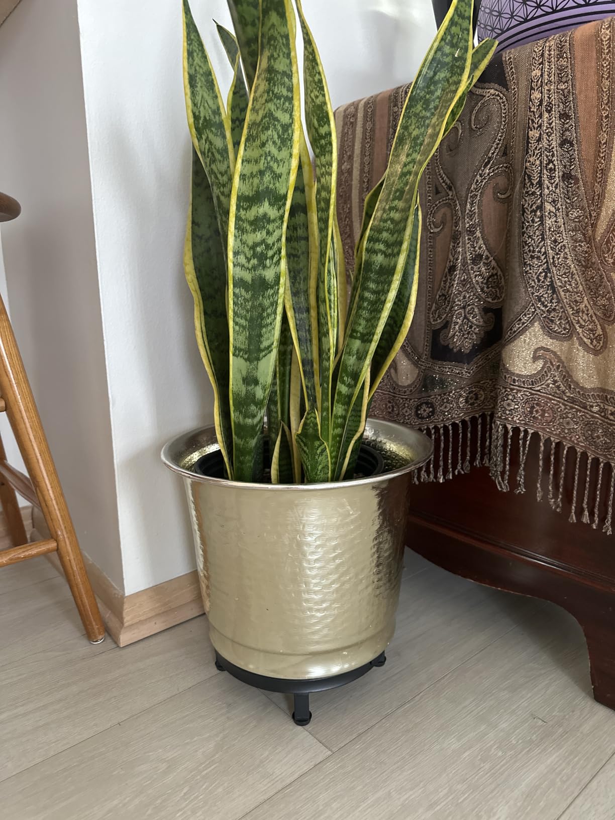 Zhongma Set of 3 Heavy Duty Sturdy Metal Plant Stand Indoor Fully Assembled customer photo 2