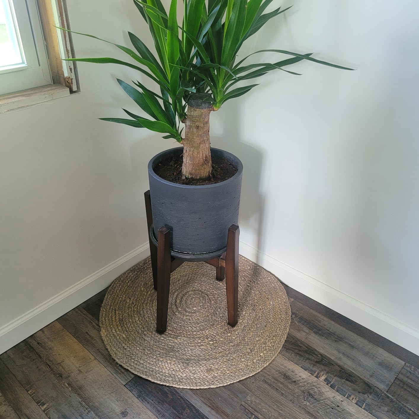 OERGKE 2 PACK Adjustable Plant Stand Indoor, Bamboo Mid Century Modern Plants Stands, Corner Flower Holder for Living Room, Fits 8 to 12 Inches Pots, (Pot & Plant Not Included)(Walnut) customer photo 2