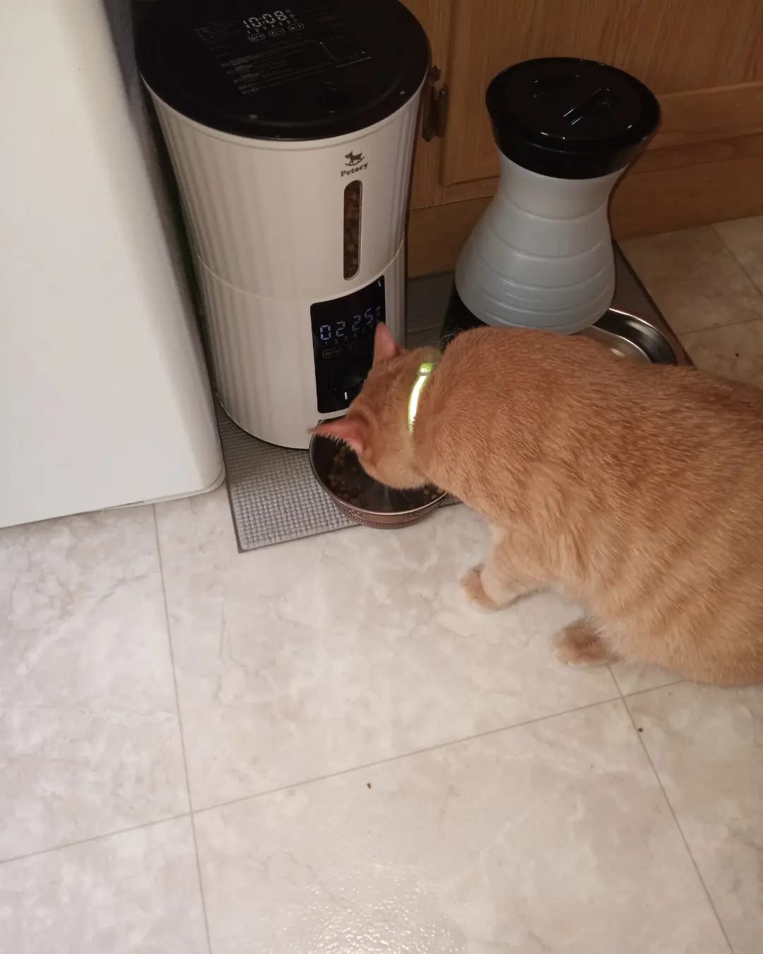 Petory Timed Automatic Cat Feeder - 4L Dry Food Dispenser for Cats and Dogs customer photo 2