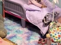 Delta Children Canopy Toddler Bed, Disney Princess customer photo 1