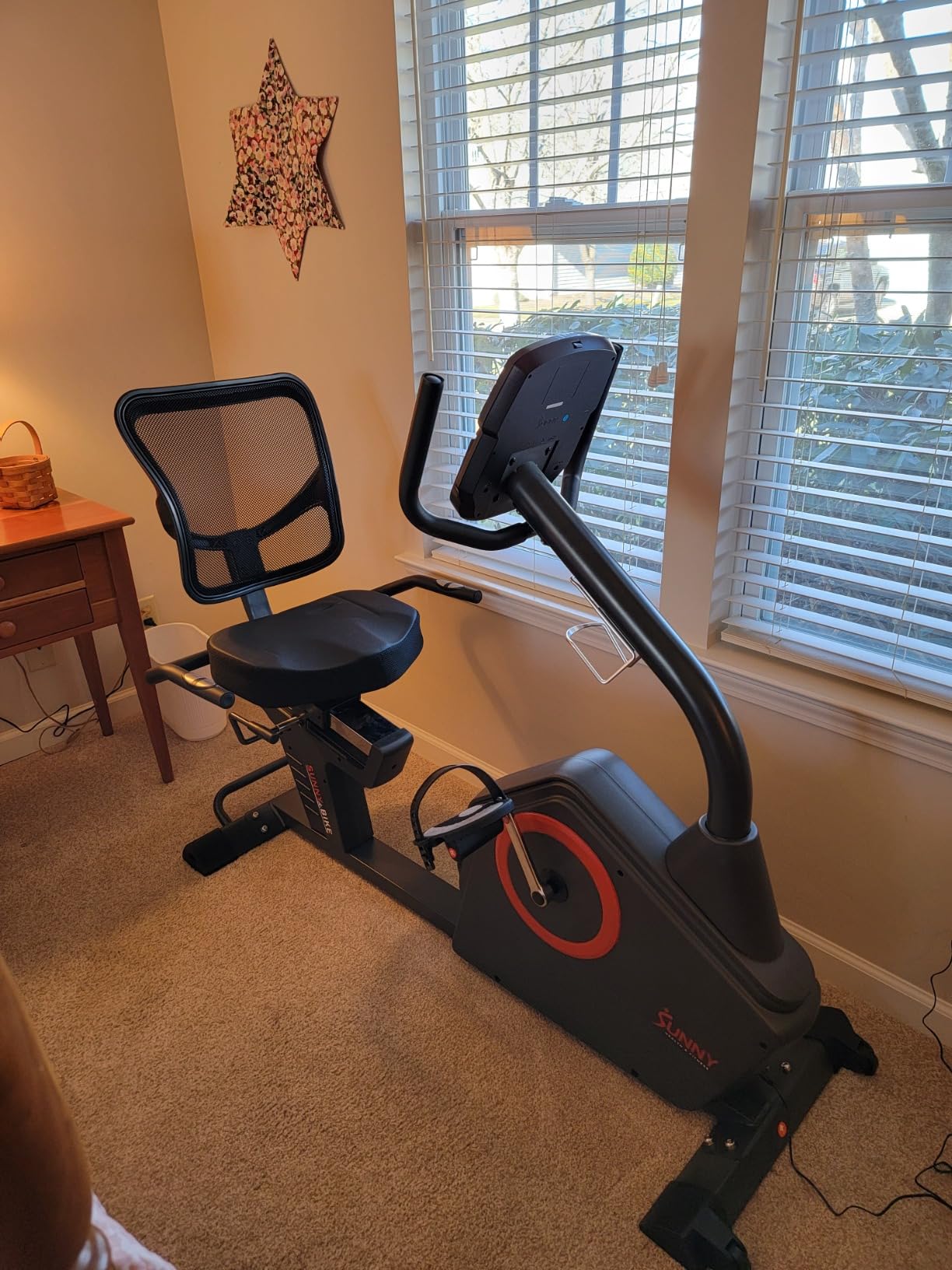 Sunny Health & Fitness Smart Recumbent Bike for Indoor Low Impact Cardio customer photo 1