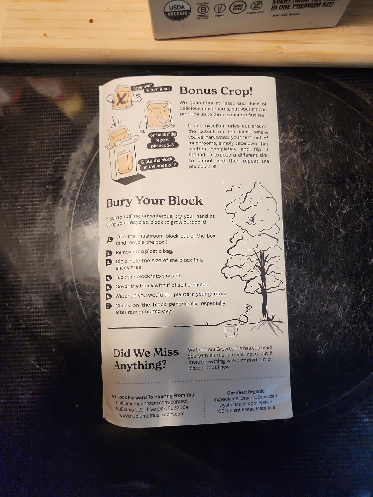 BloomBox Blue Oyster Mushroom Grow Kit – Spray & Grow – Pre-Inoculated Indoor Mushroom Farm – Beginner Friendly – Harvest Fresh Gourmet Mushrooms in Days – Perfect Gift customer photo 1