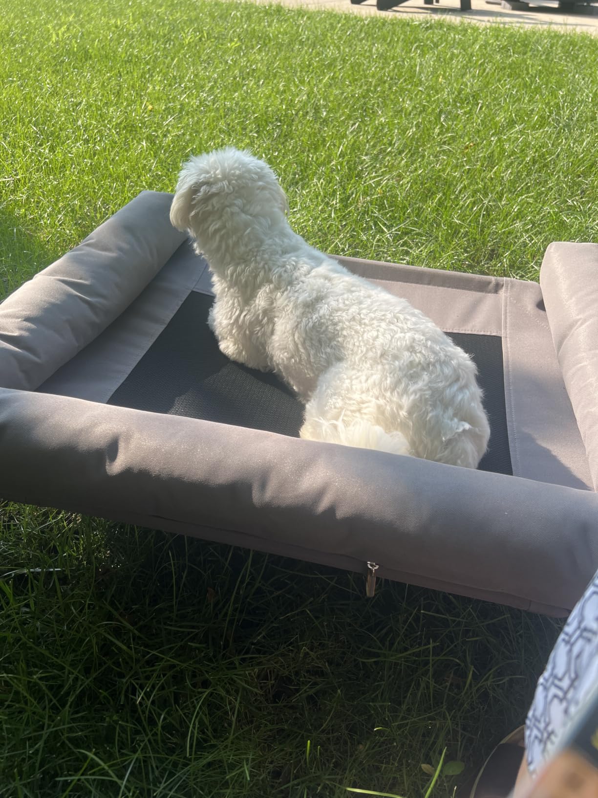 K&H Outdoor Elevated Dog Bed, Bolster Pet Cot, Medium 32x25in, Charcoal | Cool comfort anywhere, dog cot bed with removable bolster, dog bed washable, mesh center, no-tools setup customer photo 1