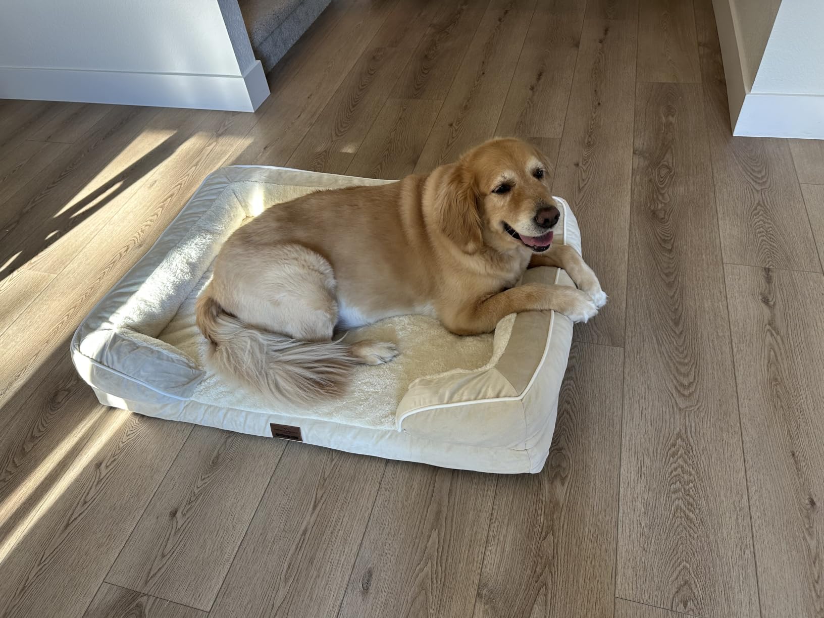 Comfort Expression Waterproof Orthopedic Dog Bed for Extra Large Dogs customer photo 2