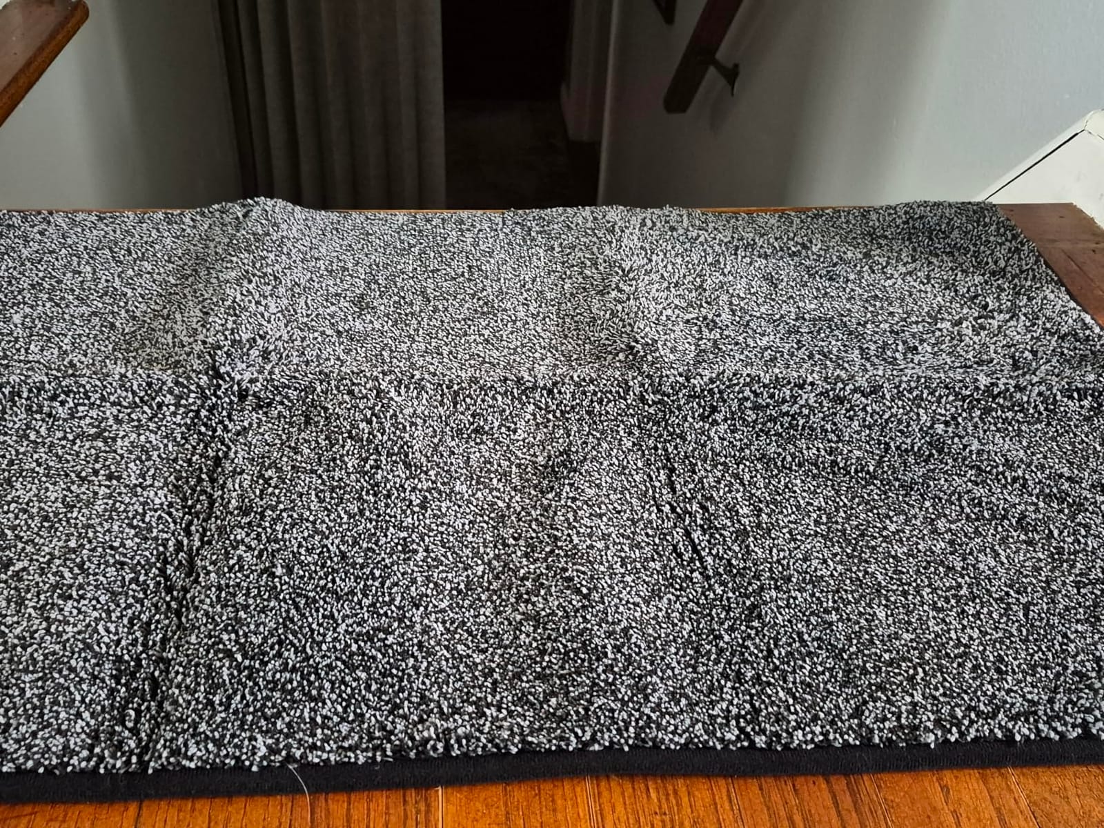 PURRUGS Dirt Trapping Indoor Door Mat, 24