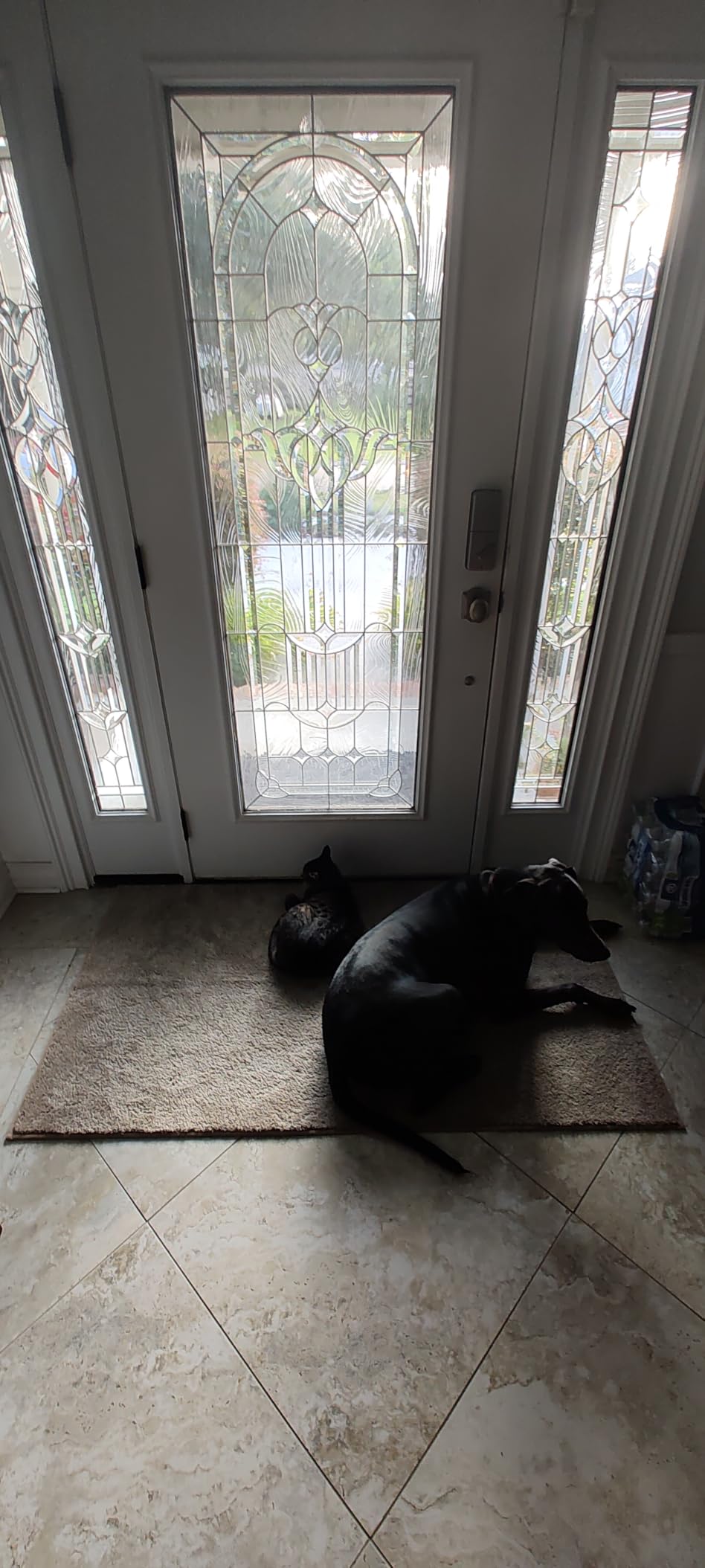 PURRUGS Dirt Trapping Indoor Door Mat, 24