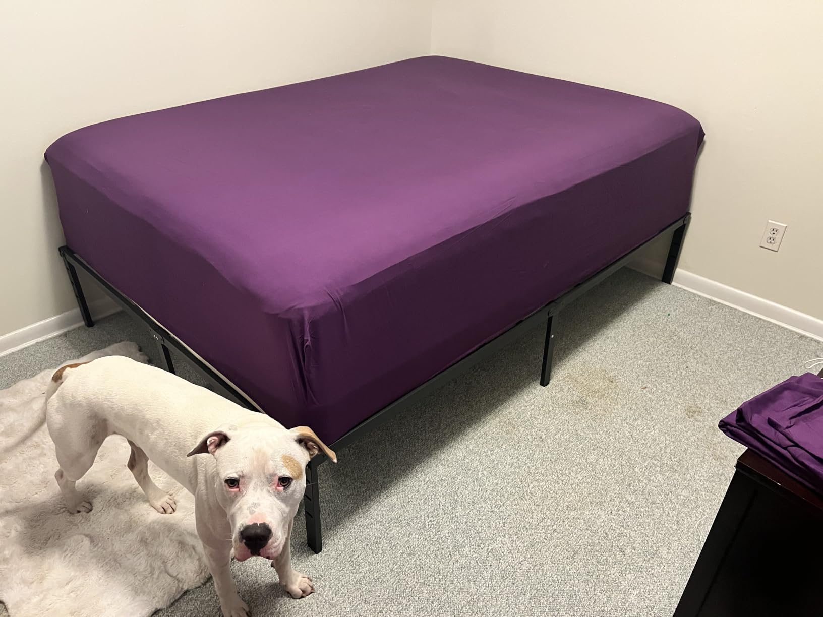 NEW JETO Metal Bed Frame,Queen Size Bed Frame with Storage Space,14 Inch customer photo 1