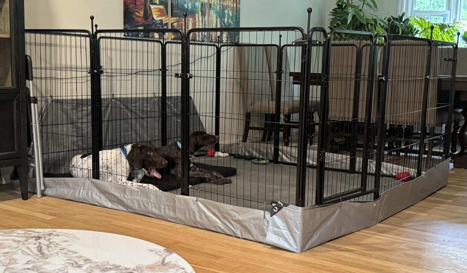 FXW Rollick Dog Playpen, Indoor, Yard & RV Camping, 40