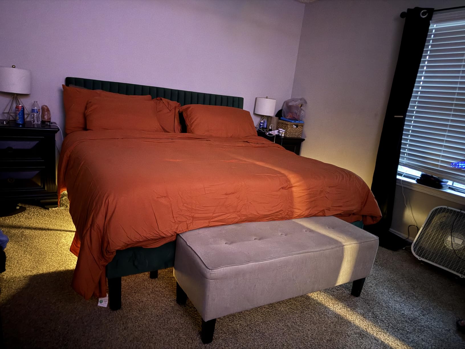 ESHINE Queen Adjustable Bed with 14