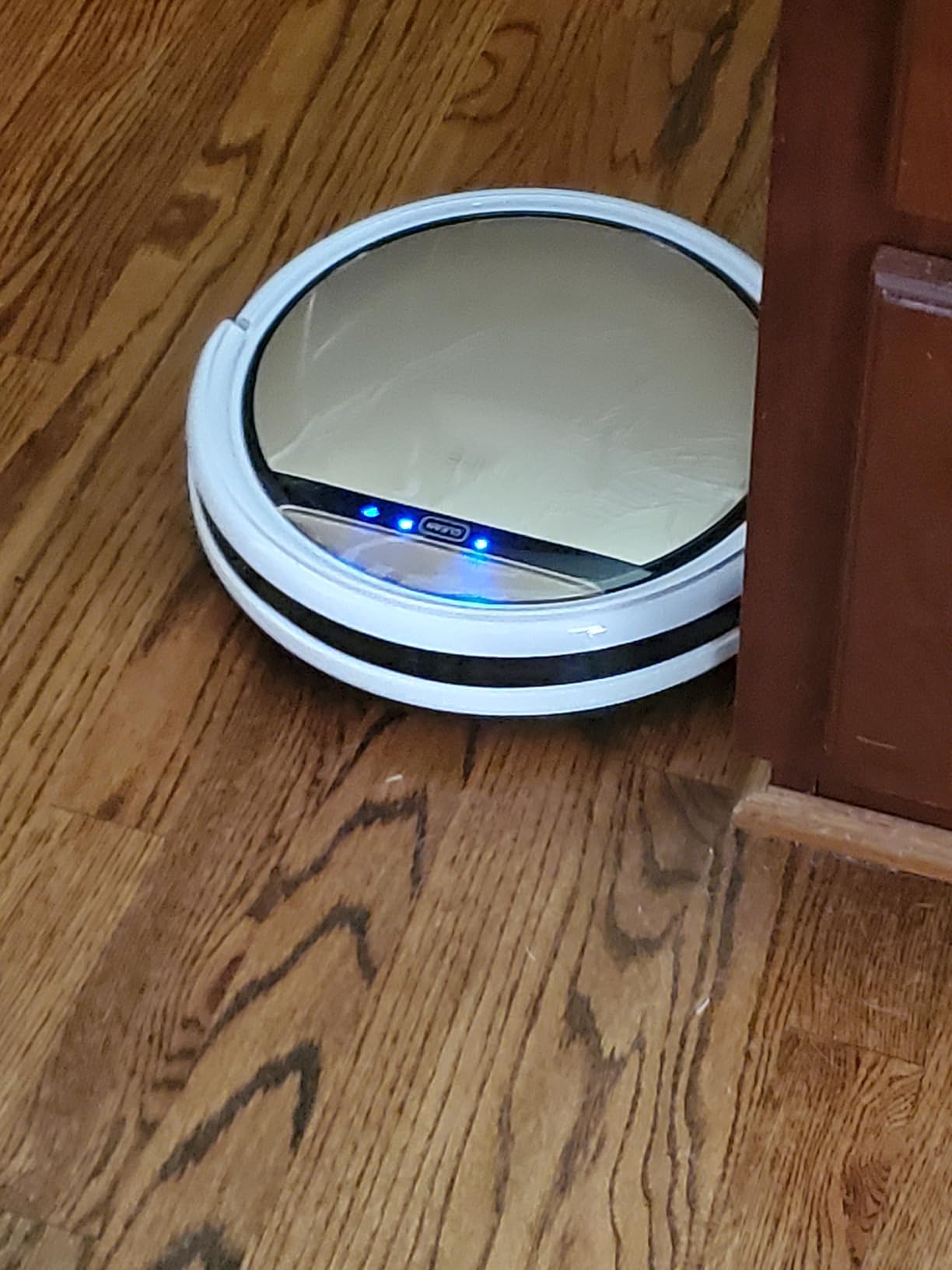 ILIFE V5s Plus Robot Vacuum and Mop Combo customer photo 1