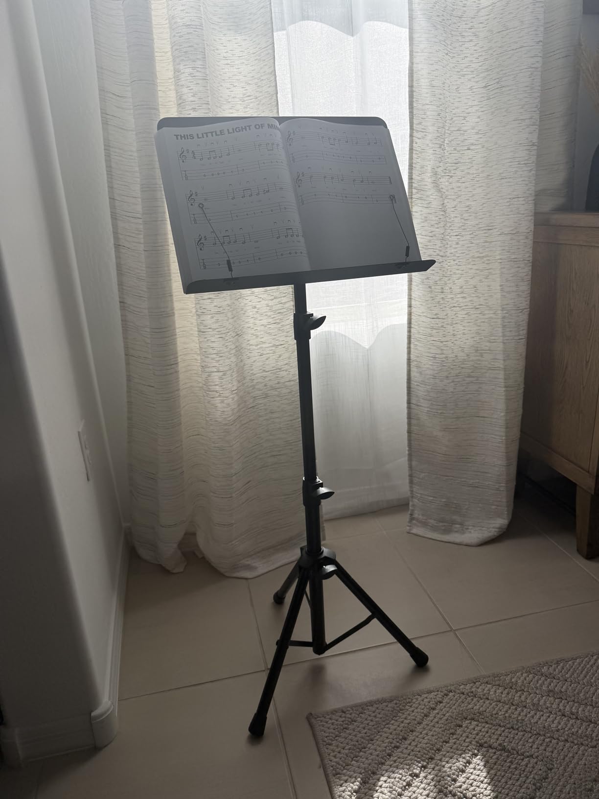 Vekkia 70 - inch Metal Professional Portable Sheet Music Stand customer photo 1
