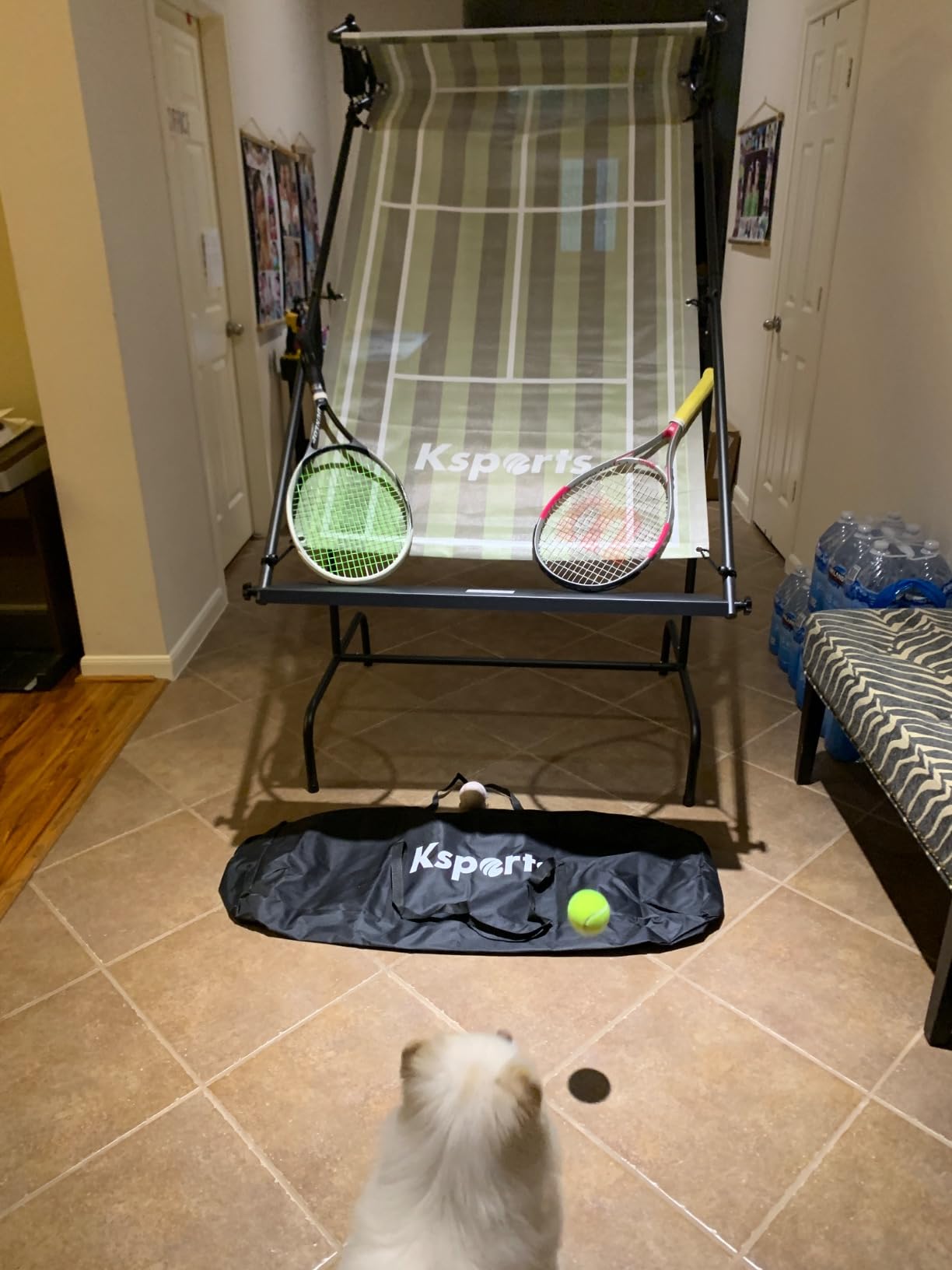 Ksports Tennis Rebounder Net – Multi Racket Sports Trainer for Tennis, Pickleball, Padel, Squash & Racquetball – Quick Assembly, Portable with Carry Bag customer photo 1