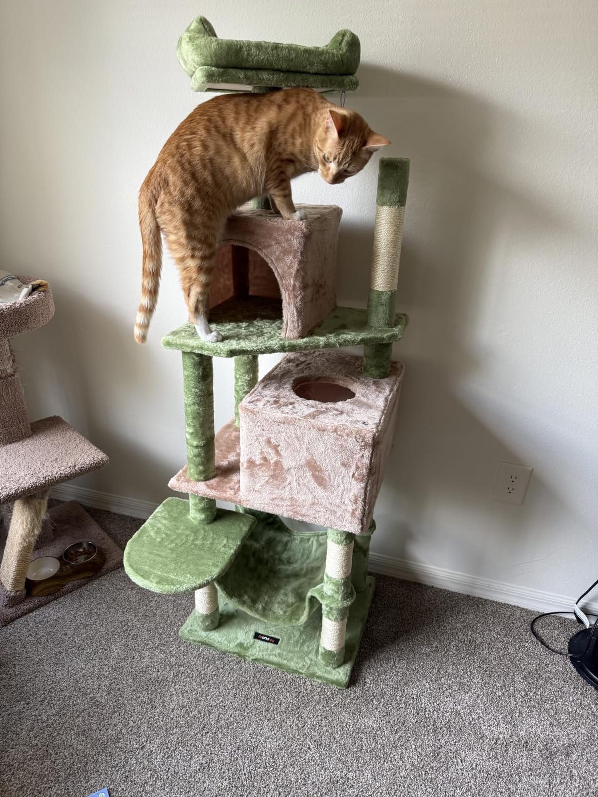 Feandrea Cat Tree, 59.5-Inch Tall Cat Tower, Multi-Level Condo, Light Gray customer photo 1
