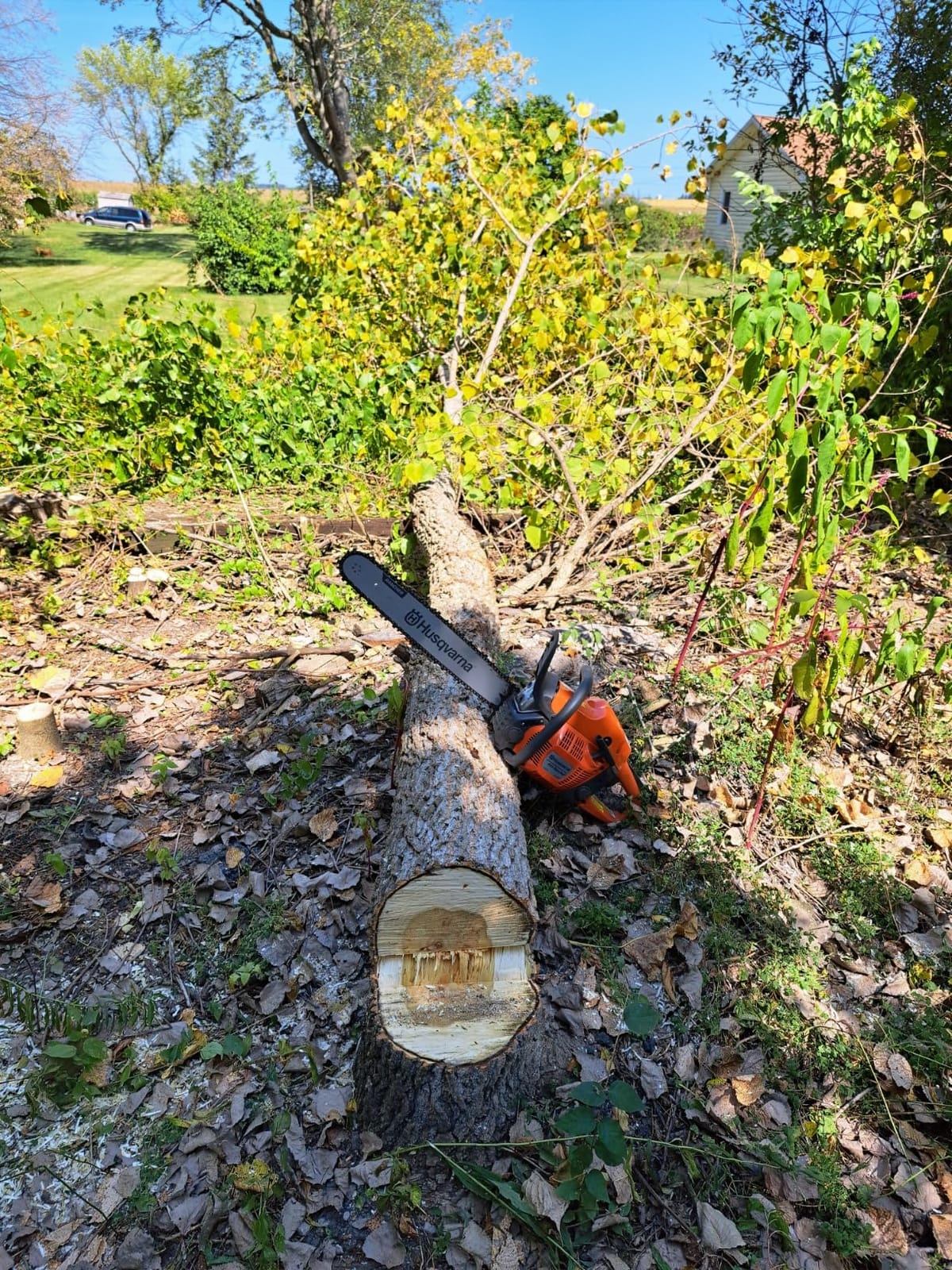 Husqvarna 455 Rancher Gas Chainsaw, 20 inch, 55-cc 3.5-HP customer photo 2