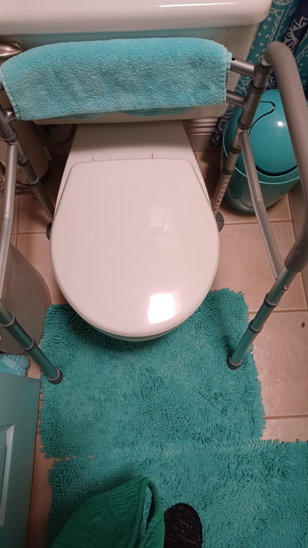 Toilet Safety Rails for Seniors Adjustable Detachable Fits Most Toilets customer photo 1