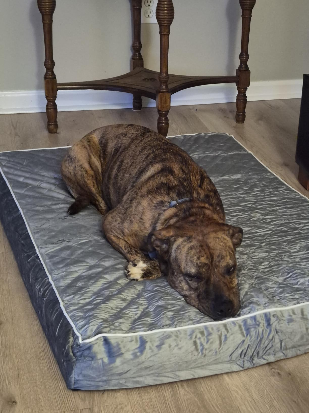 WNPETHOME Orthopedic Waterproof Extra Large Senior Dogs Bed for Comfy Sleep | XL Washable Ped Bed with Removable Cover, Multi-Needle Quilting XL Crate Bed for Large Sized Dog Relax, Light Grey 42x30 Inch customer photo 2