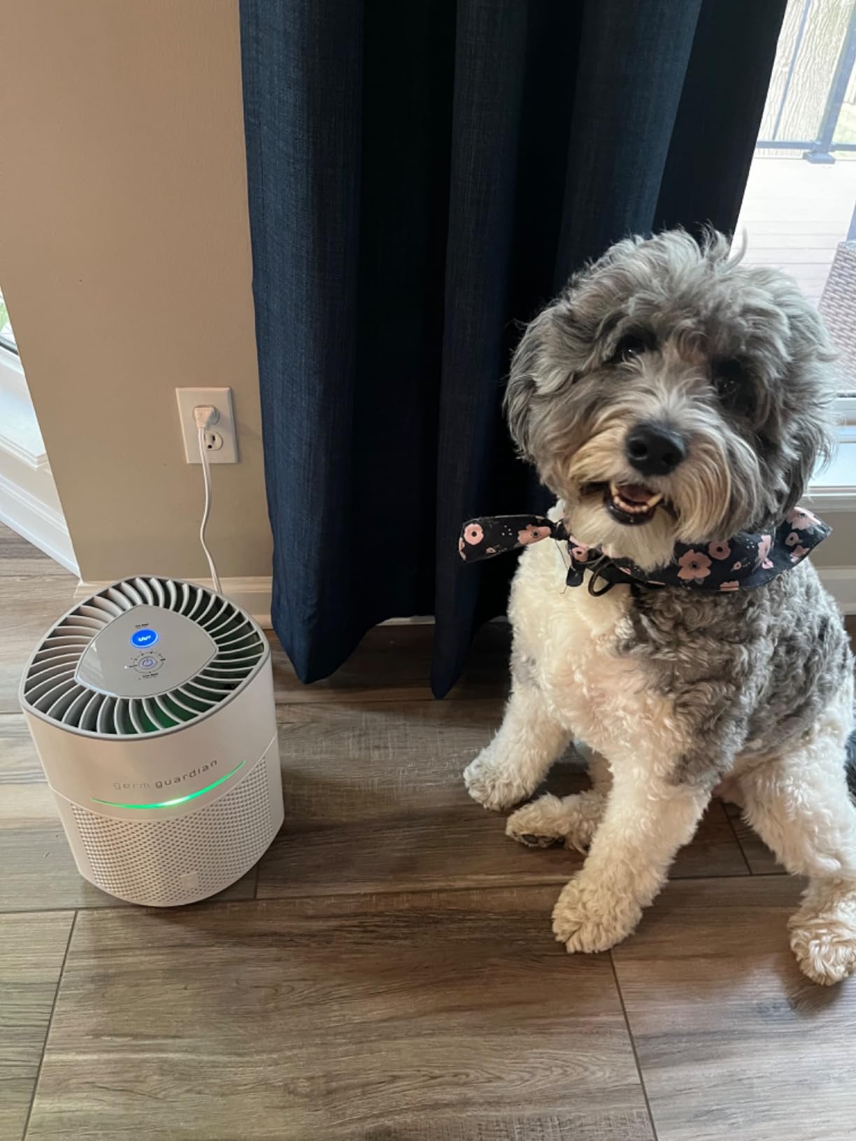 GermGuardian Airsafe+ HEPA Air Purifier for Home, Large Rooms Up To 1043 Sq. Ft. with HEPA Air Filter, UV-C Light & Air Quality Sensor, AC3000W, White customer photo 2