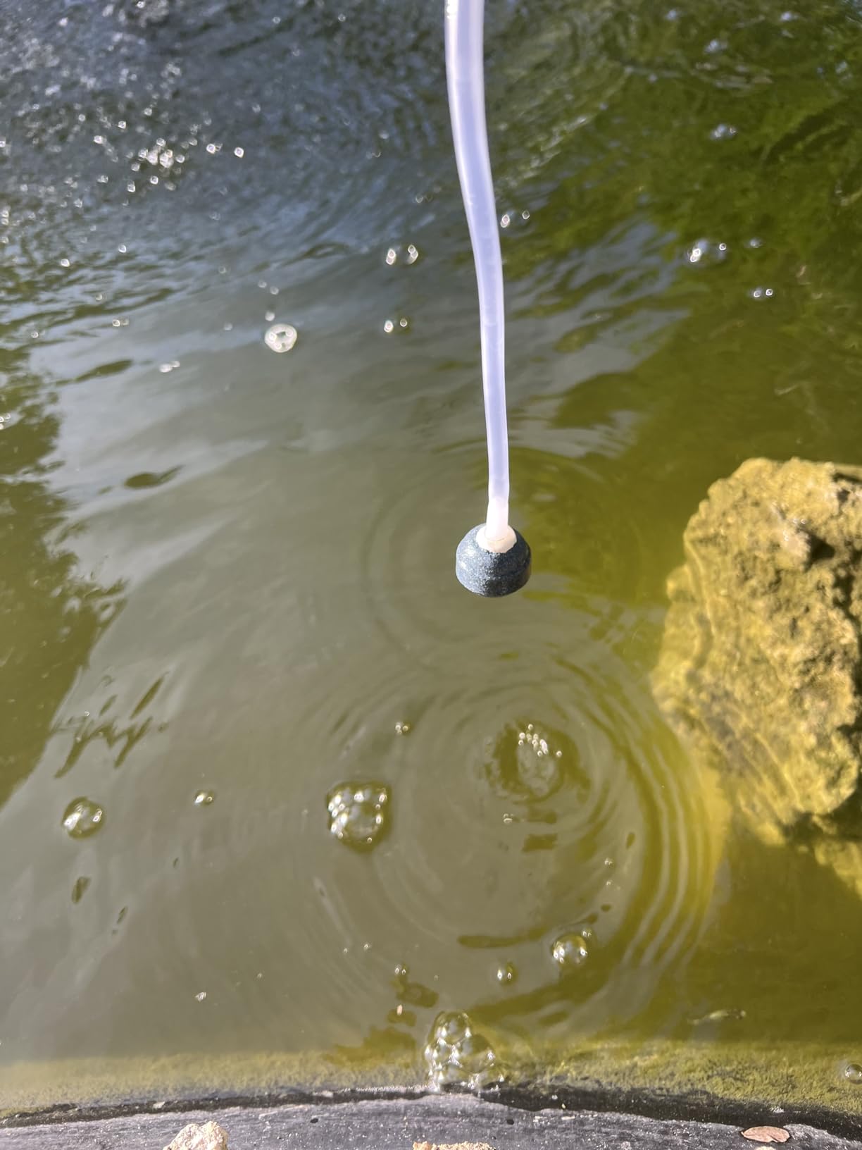 Biling Solar Aerator for Pond with 2200 mAh Battery Backup for Fish Pond customer photo 1