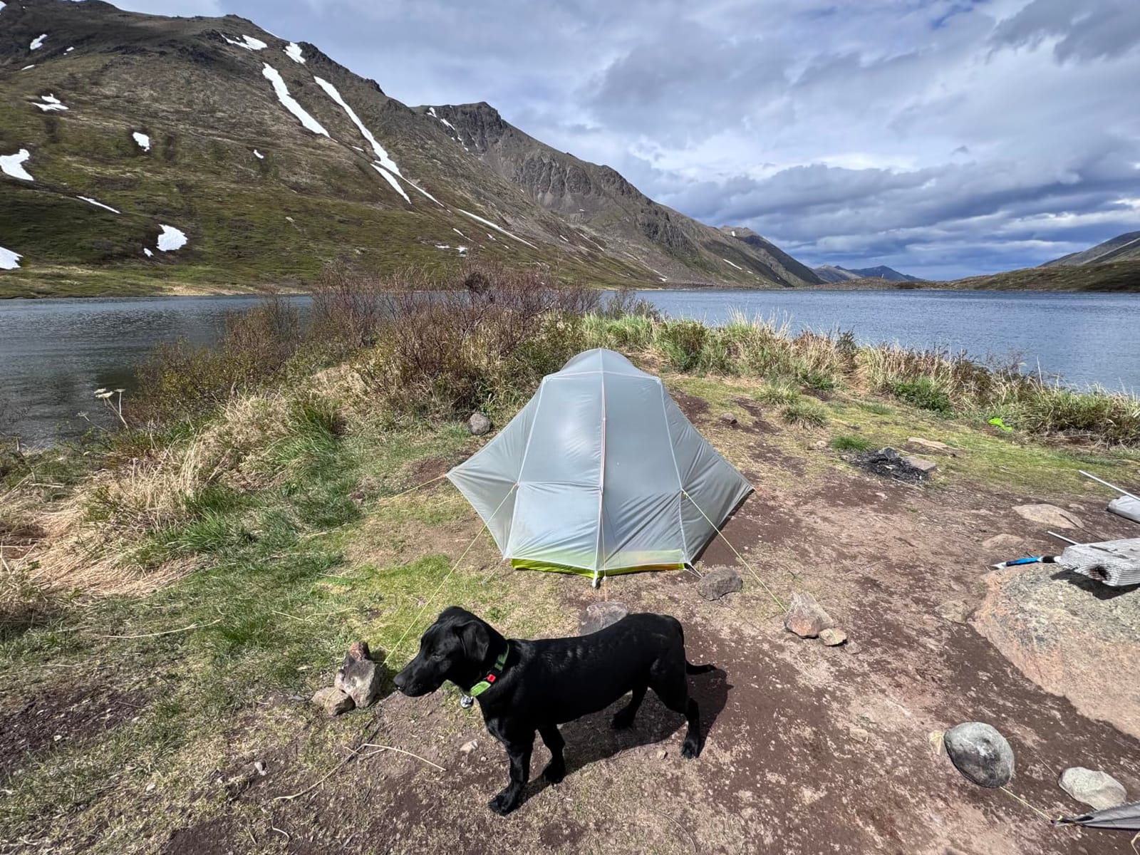 Glacial Blue Ultralight Dog Sleeping Bag with Packable Bed for Hiking, Camping and Outdoor Travel - Medium Size customer photo 2
