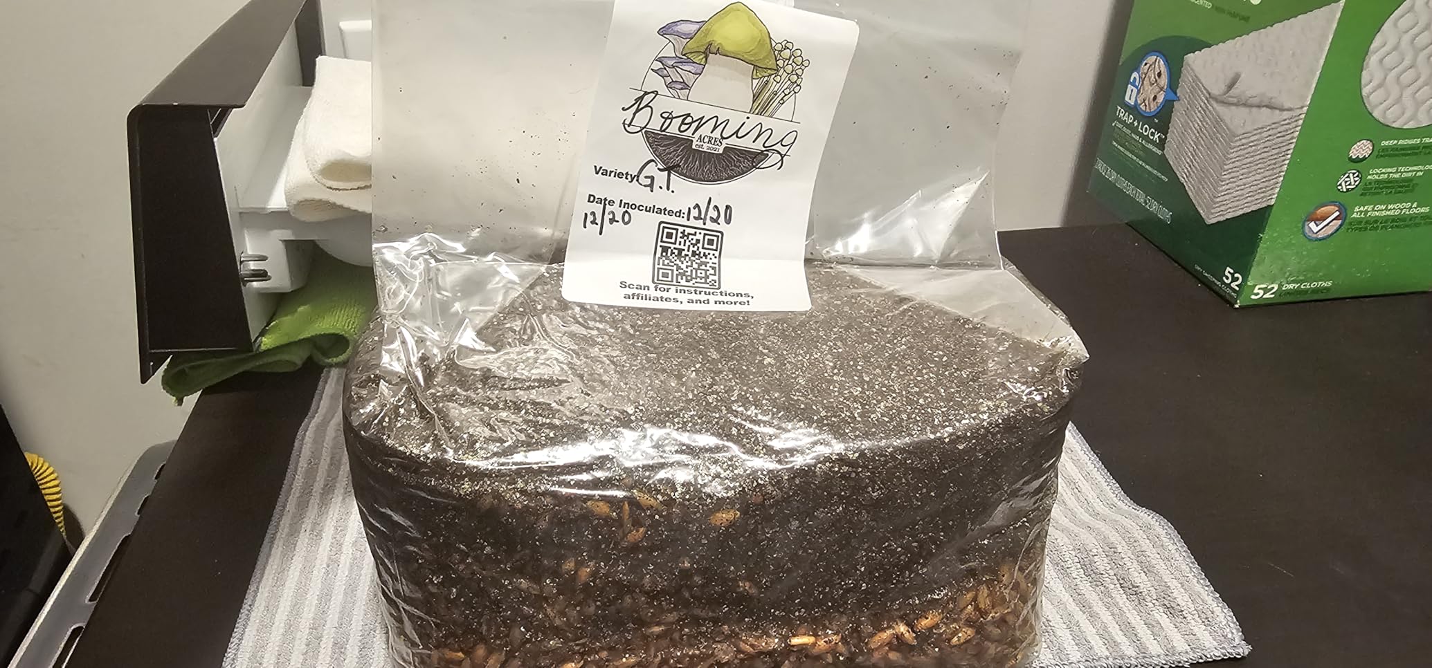 | The Magical 5lb All-in-One Mushroom Grow Bag | Mushroom Grow Kit | Harvest Your own Happiness | Discover the Magic of Growing Mushrooms - 5lb Grow Bag Mushroom Starter Kit customer photo 2