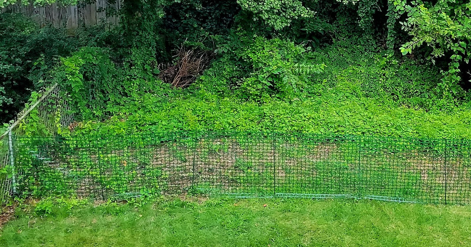 PotatoLife 4'x100' Plastic Mesh Fence for Garden with 100 Zip Ties, Green customer photo 1