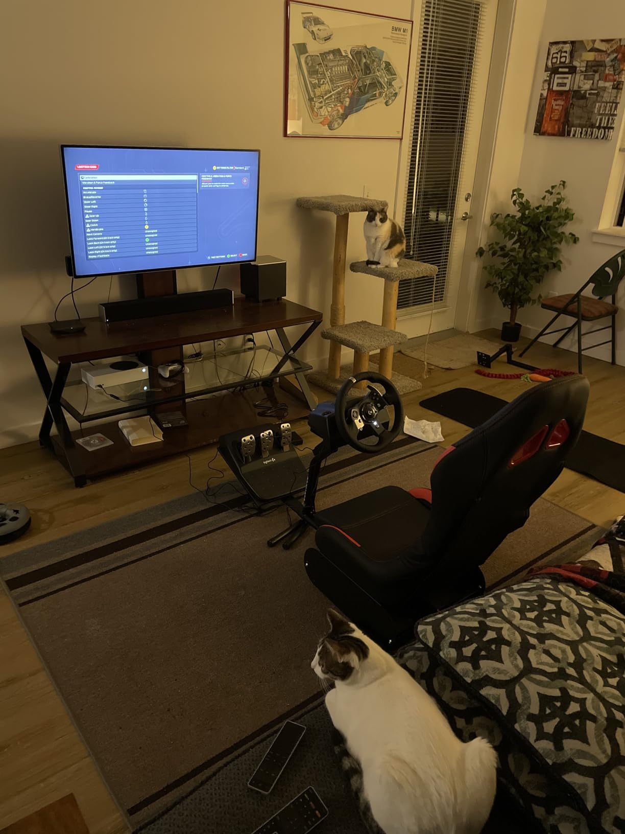 DIWANGUS Steel Racing Simulator Cockpit with Seat, Foldable Sim Racing Rig customer photo 1