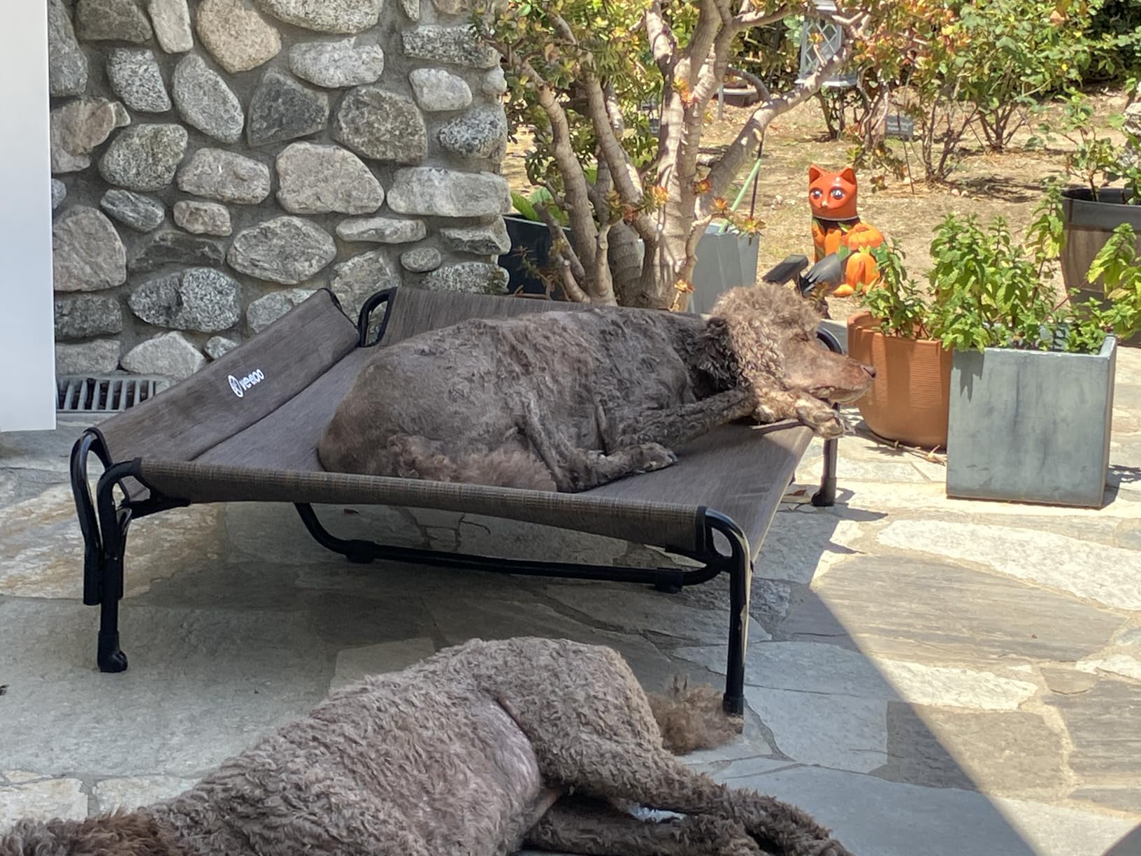 Veehoo Cooling Elevated Dog Bed, Raised Dog Cot with Guardrail & Headrest customer photo 1
