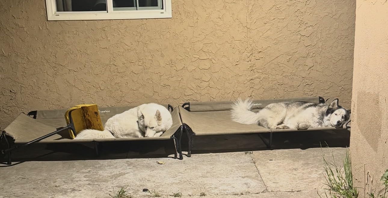 Veehoo Cooling Elevated Dog Bed, Raised Dog Cot with Guardrail & Headrest customer photo 2