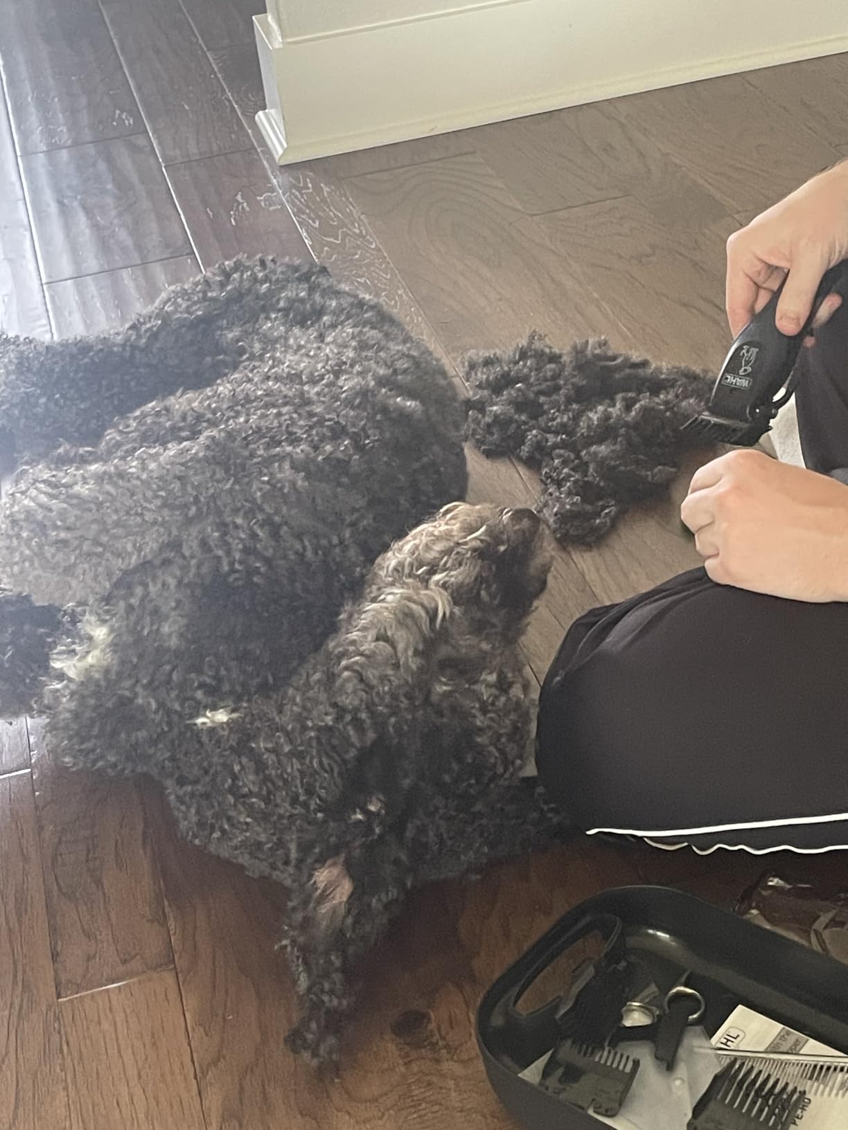 Wahl Power Pro Lithium Ion Rechargeable Cordless Dog Grooming Clipper Kit customer photo 2