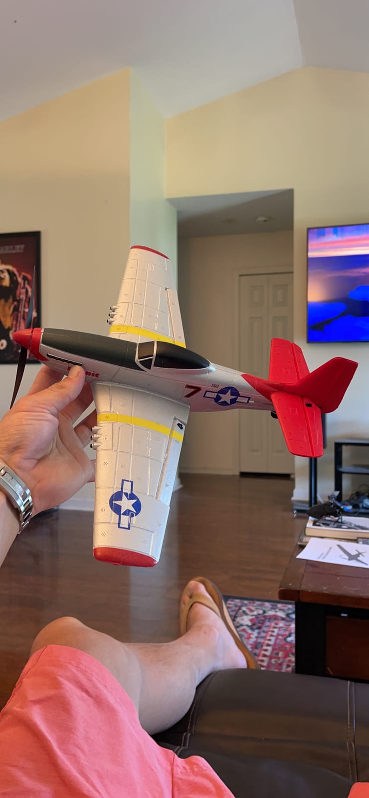 volantexrc RC Plane, 4CH Remote Control Airplane for Beginners & Adults customer photo 1