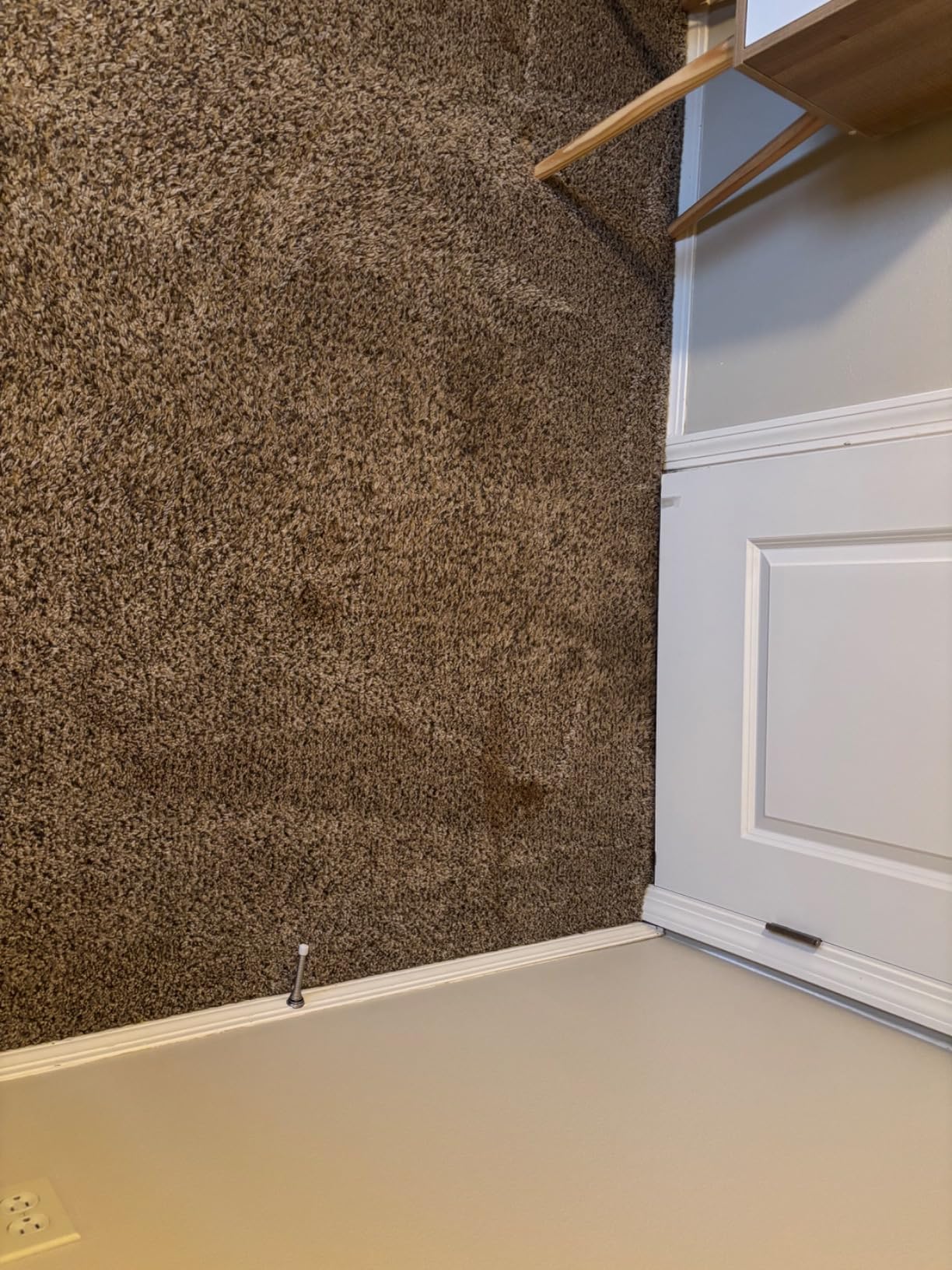 BISSELL TurboClean Pet XL Upright Carpet Cleaner, 3746 customer photo 2