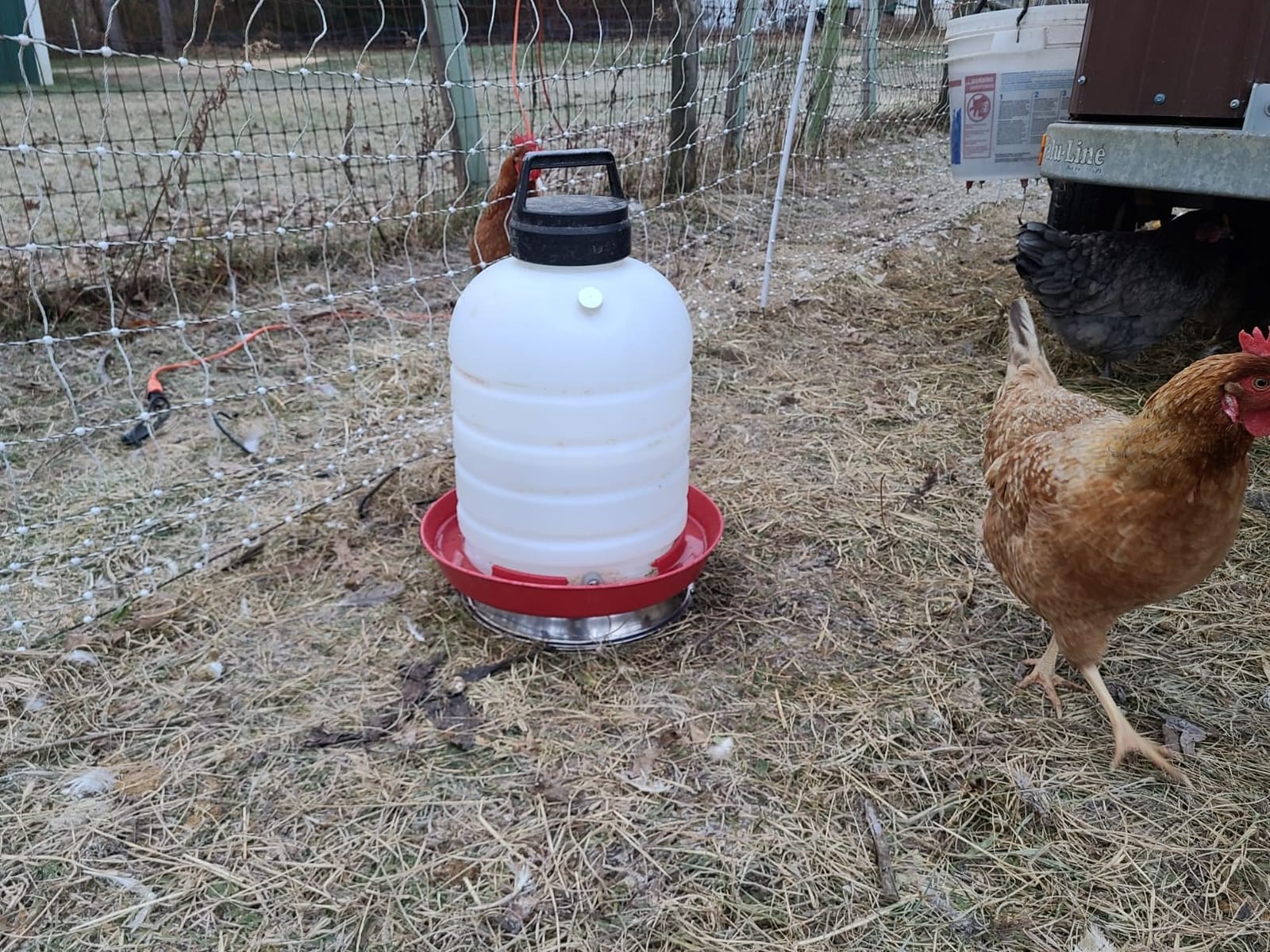12 Inch Chicken Water Heater Base, 5 Gallons Poultry Drinker Heater Base with Thermostat and Power Cord, Automatic Electric Poultry Winter Deicer Heated Base for Plastic/Metal Chicken Waterer customer photo 1