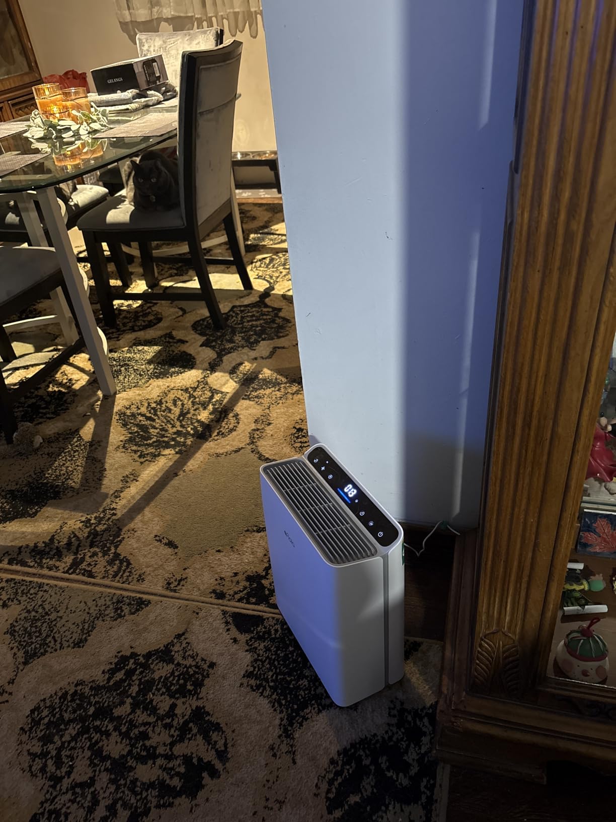 Afloia Air Purifier for Large Rooms Up to 2,000 Sq. Ft. with PM2.5 Display customer photo 1