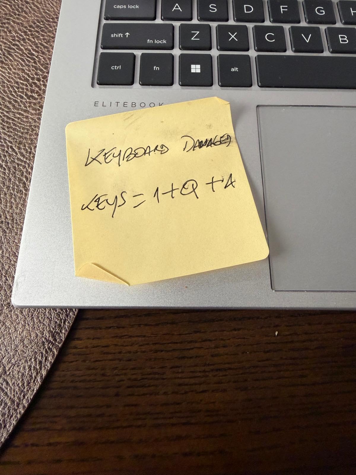 HP EliteBook 840 G10 (Latest 2023) 14